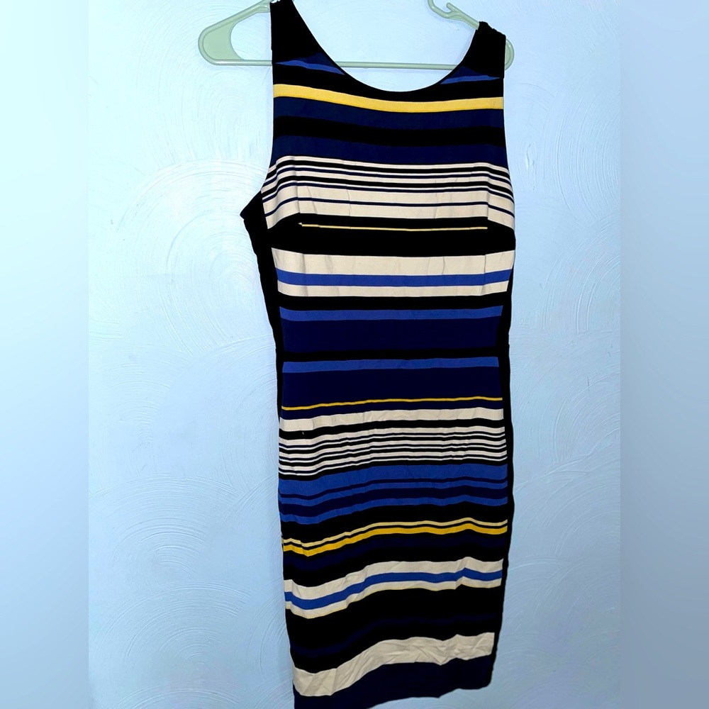Women’s Size 14 Petite White House Black Market Black/Blue Striped Dress